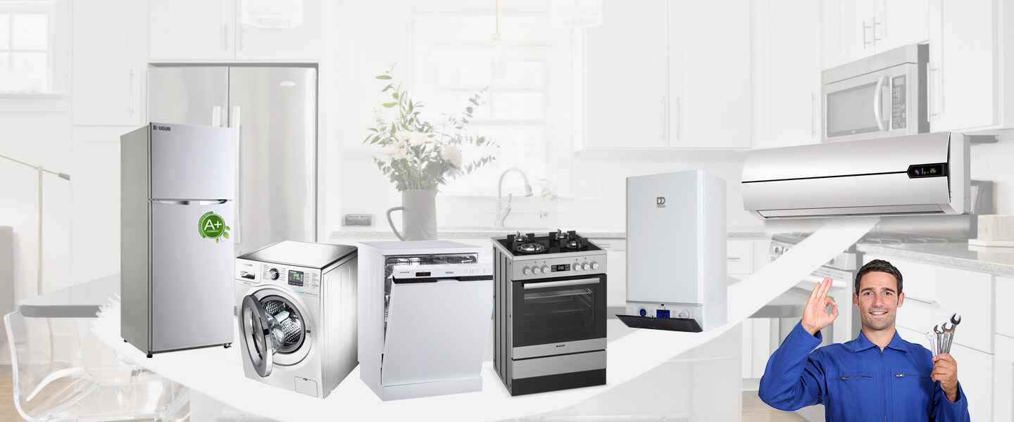 Bingöl Electrolux Servisi